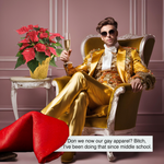 Load image into Gallery viewer, THE QUEER DOZEN
